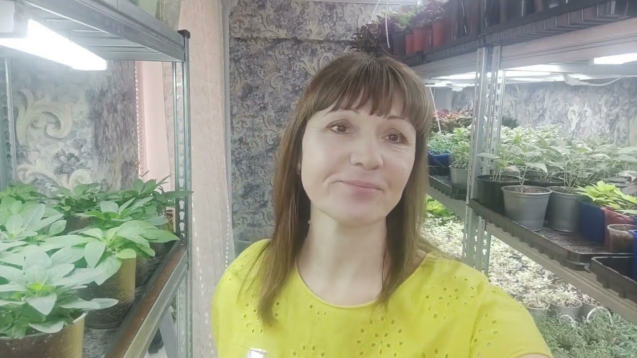 Как из маленького черенка вырастить шикарное растение. Посадка ампельных растений в подвесные кашпо. смотреть онлайн