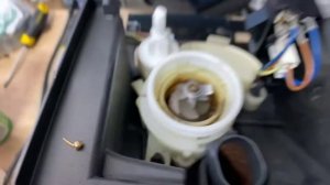 Delonghi dinamica трещит кофемолка. Не мелет зерно. Ремонт просто