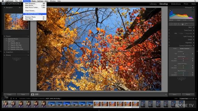 Working with DNG Camera Profiles смотреть онлайн
