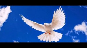 Слава Тебе за Дух Святой - песня.