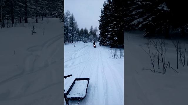 Бурлак М смотреть онлайн