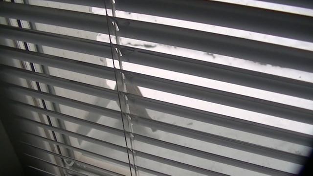 27 запись: езжу по дороге, чиню потолок, рассказываю про фотографию