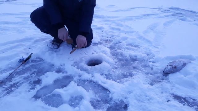 Вот почему очень важно носить с собой багорик! смотреть онлайн