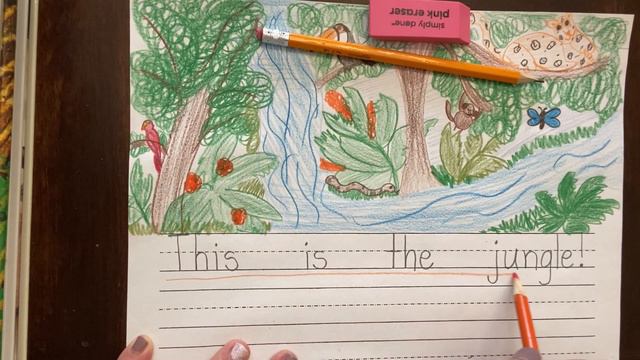 Jungle Writing смотреть онлайн