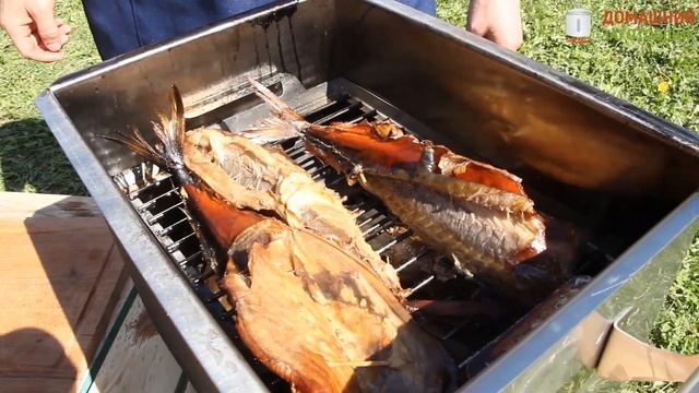 Новая коптильня горячего копчения «Поляна» от Домашнего Заготовщика смотреть онлайн