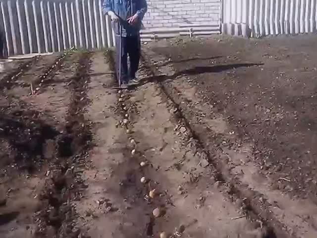 Ручная самодельная чудо-сажалка для картофеля. смотреть онлайн