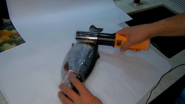 Водонепроницаемая аккумуляторная рыбочистка с Алиэкспресс смотреть онлайн
