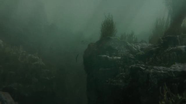 С чего все началось?Хронология Вселенной Гарри Поттера.(Harry Potter) смотреть онлайн