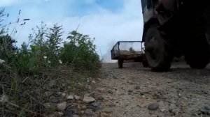 Шери Ягодка исп. Алексей Чученков