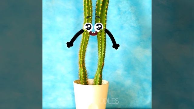 MADCAP FRUITS, RASCAL VEGGIES AND MAGIC THINGS WANT TO BREAK MAN'S LIFE - 24/7 DOODLES