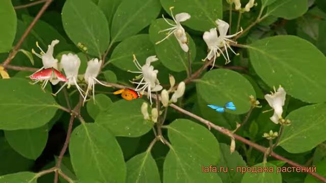 DIY Woodworking Projects