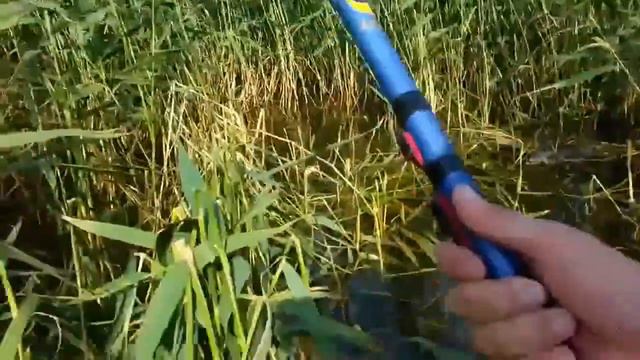 Ловля карпа на Кодыме смотреть онлайн