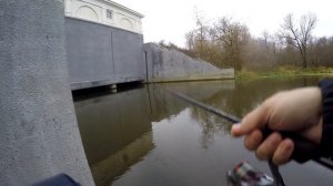 Zetrix Flair FLS 702SUL-S. НЕ ОБЗОР. Рабочая лошадка в микроджиге.