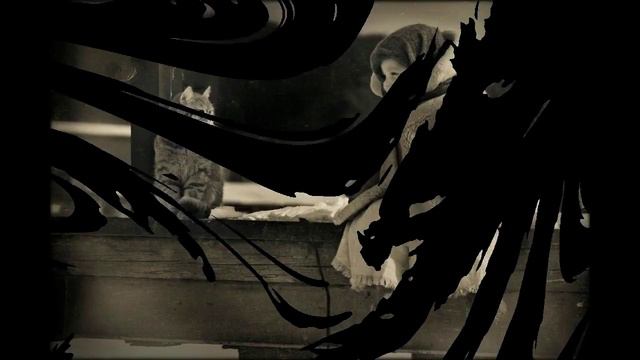 Человек и кошка. Ноль. Кавер версия смотреть онлайн