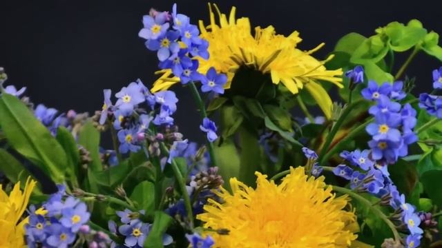 Бабушку в банке отправили снимать деньги в банкомат, но она всех поразила своим ответом