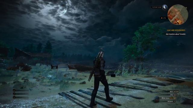 The Witcher 3: Max Settings - Hairworks ON - 1080p 60FPS - GTX 980Ti смотреть онлайн