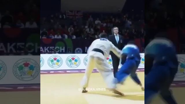 Красота дзюдо смотреть онлайн