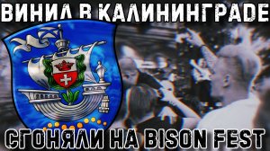 ВИНИЛ В КАЛИНИНГРАДЕ | Ермак! Jane Air | РОК-ФЕСТИВАЛЬ Bison Fest