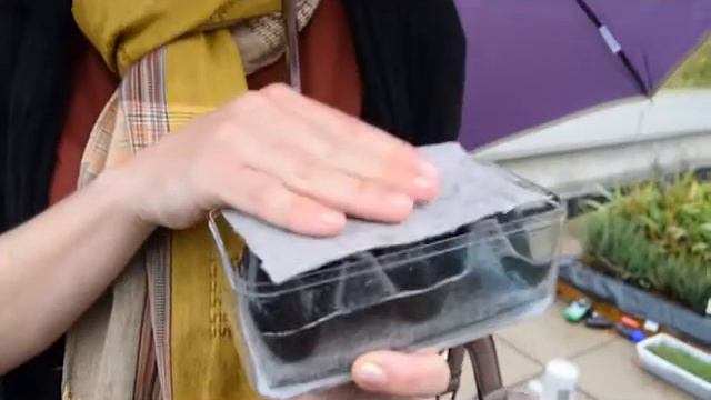 Experiments amb cobertes vegetals en un terrat de la Universitat Pompeu Fabra смотреть онлайн