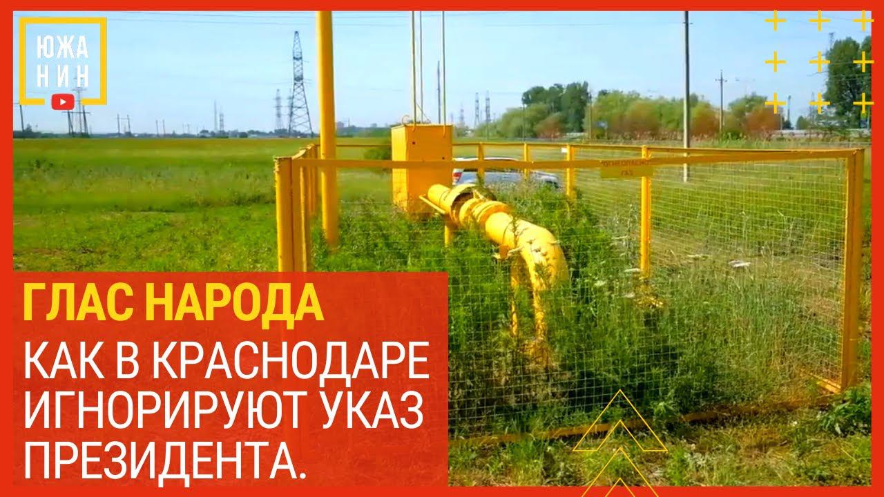 В Краснодаре игнорируют указ президента. Глас народа. смотреть онлайн