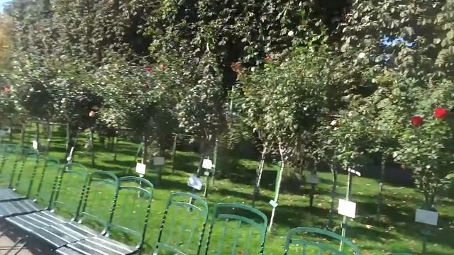 Австрия Вена, парк возле ратуши смотреть онлайн