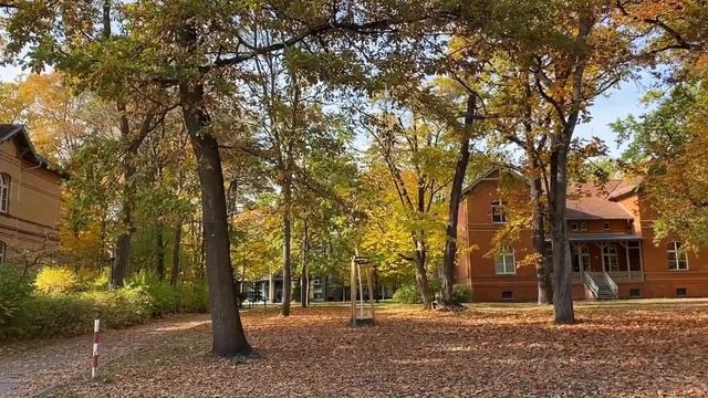 Больница Вильгельма Гризингера была комплексом клиник, открыта в конце 19 века. смотреть онлайн