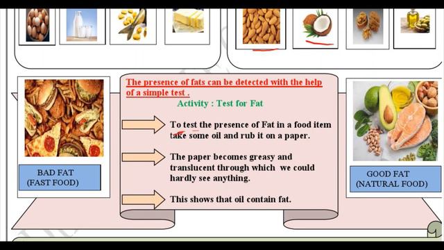 Class 6 DOE Worksheet 12 Science (13/8/21) | English Explanation | Unlock Your Learning | смотреть онлайн