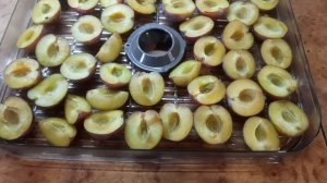 ЗАГОТОВИМ СЛИВЫ НА ЗИМУ/СУШКА СЛИВ В ЭЛЕКТРОСУШИЛКЕ/