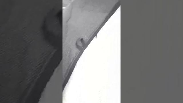 Обзор чехлов Nika смотреть онлайн