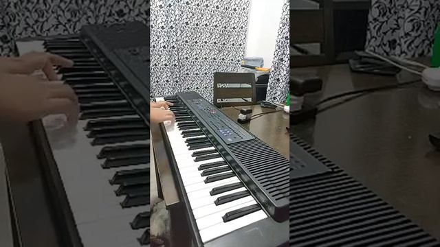 Casio WK1500 Synthesizer Keyboard Sound Sample
