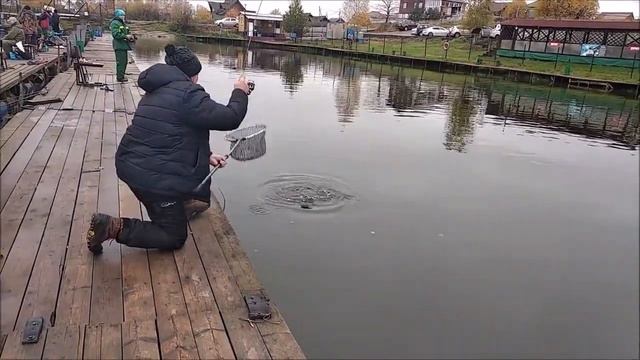 Клевое Место д. Савельево. Поимки форели второй сектор. смотреть онлайн