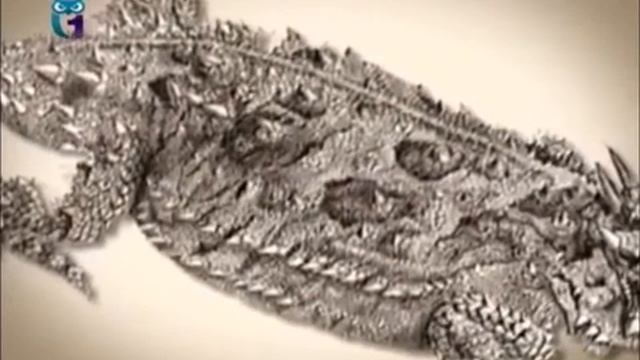 Жабовидные ящерицы (фринозома) смотреть онлайн