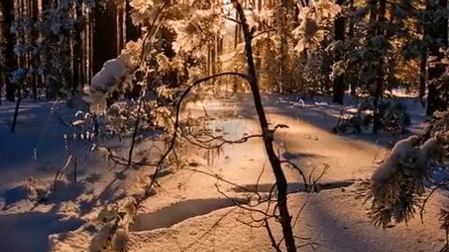 Природные сказки России Леса смотреть онлайн