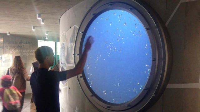 ZOO VIENNA - Human Motion Tracking and Gesture Recognition - Interactive Digital Signage смотреть онлайн