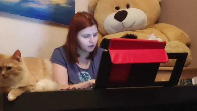 Алина Рейнгард - Дерево (КИНО), piano version смотреть онлайн