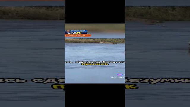 интересный факт