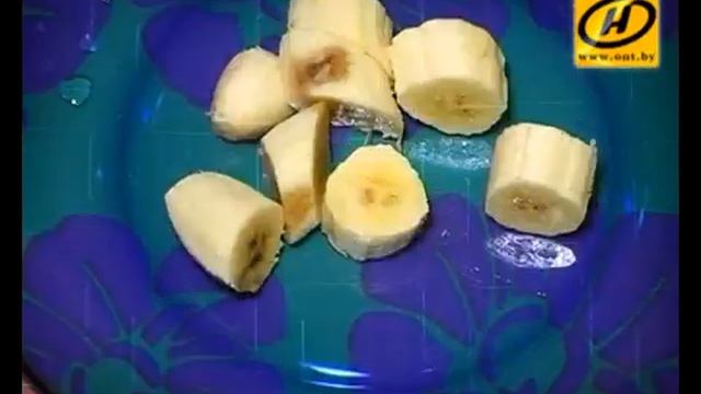 Зоопарк и Дикие Животные