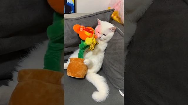 Ненастоящий саксофонист пристаёт к киске смотреть онлайн