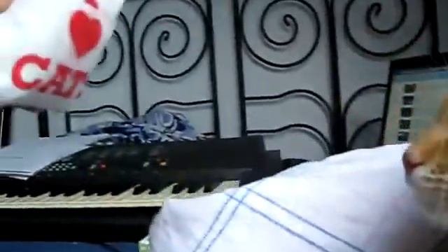 Кошка которой не нравятся подарки смотреть онлайн