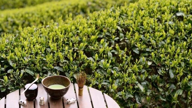 Познавательное мероприятие «Чайная церемония», посвящённое международному дню чая смотреть онлайн