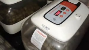 Инкубация перепелов ,а нужно ли переворачивать яйца?