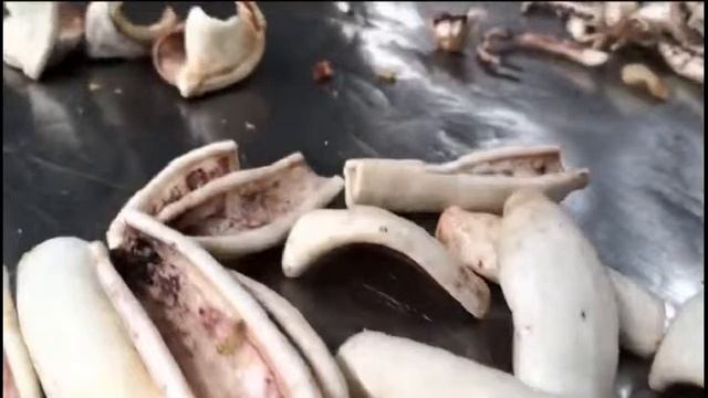 squid vacuum frying machine смотреть онлайн