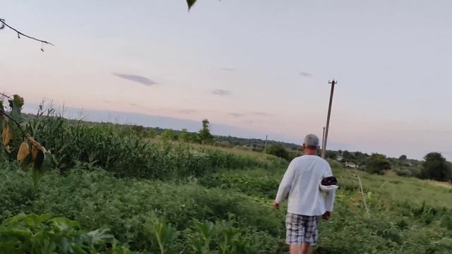 Огород после града,комната после ремонта,урожай дома. смотреть онлайн