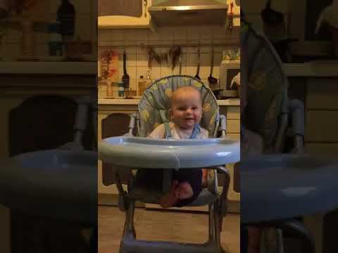 Дёми-Дём, куда идём?