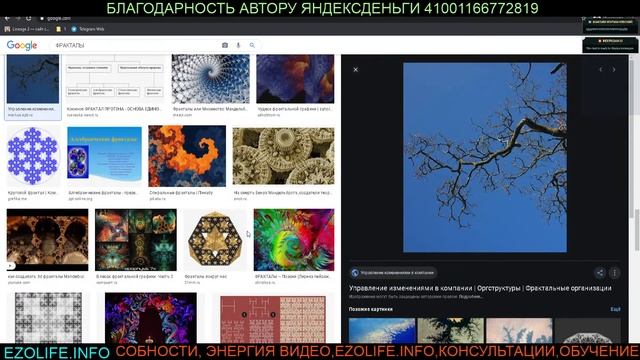 МАТЕМАТИКА МАГИЯ РЭБ МОЗГ ФЁДОРОВ СТРОСС ЗЕРКАЛА УПРАЖНЕНИЯ ТЕЛЕПАТИЯ смотреть онлайн