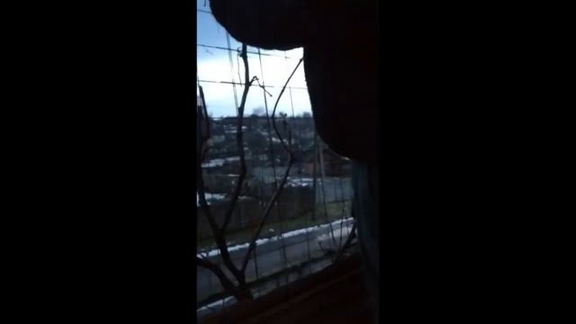 обрезка винограда смотреть онлайн
