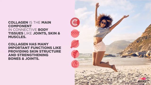 Jellice Pioneer Europe B.V. - New Company Video смотреть онлайн