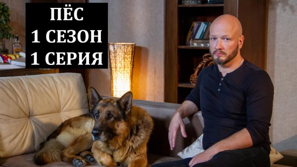сериал пес 1 сезон 1 серия