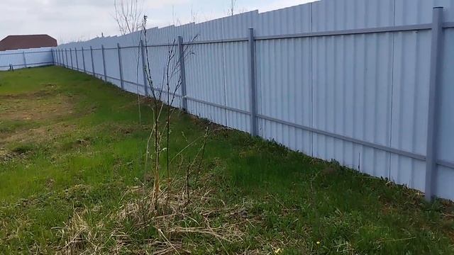 Беларусь | Сад, огород | Развела клей обойный | Мороженое смотреть онлайн