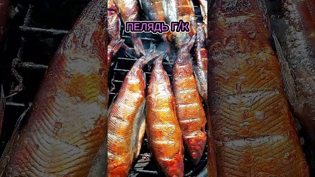 Комедийные Шоу и Скетчи